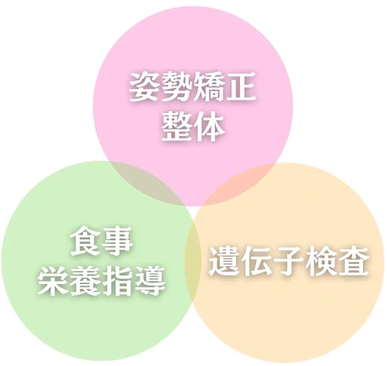 痩せる理論3つのポイント